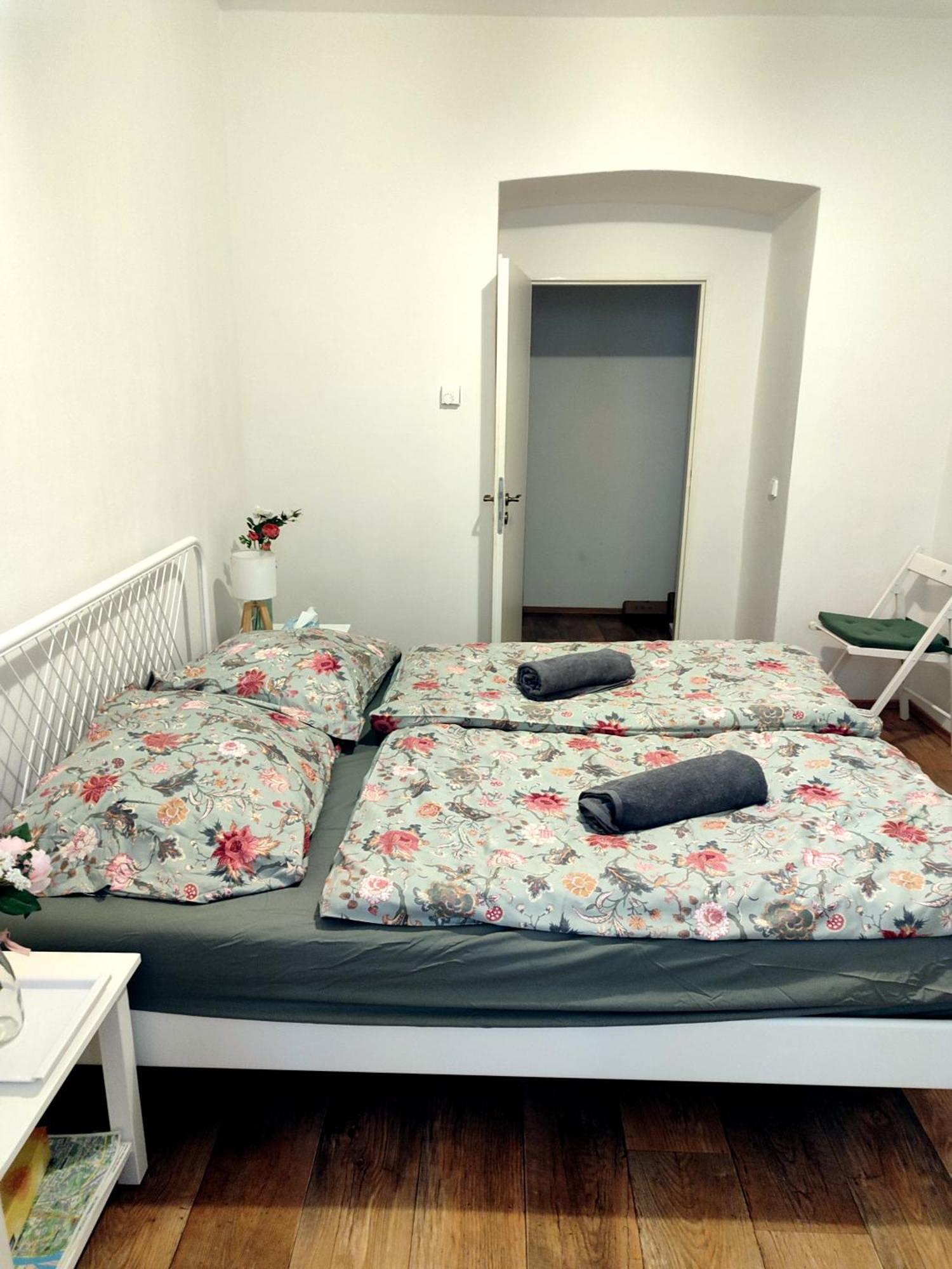 Séjour chez l'habitant With Double Bed In Zizkov - Shared Bathroom Prague